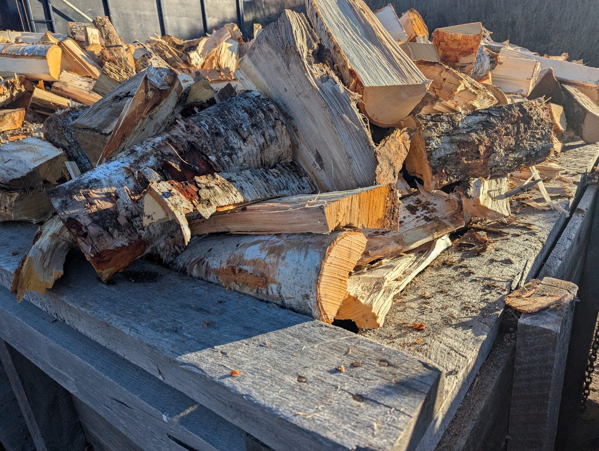 Mixed hardwood firewood close-up showing wood quality
