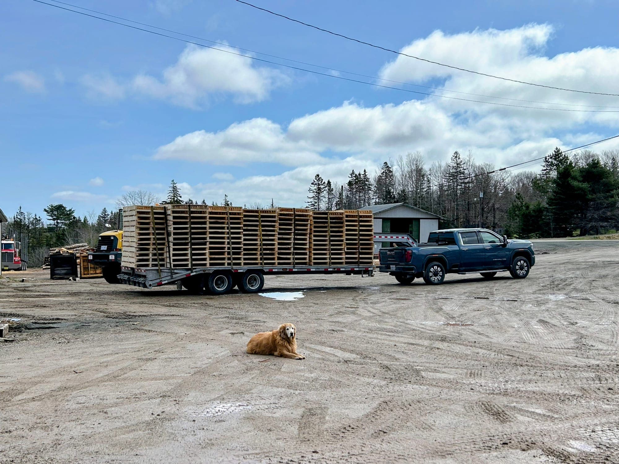 Custom pallets produced at HML sawmill