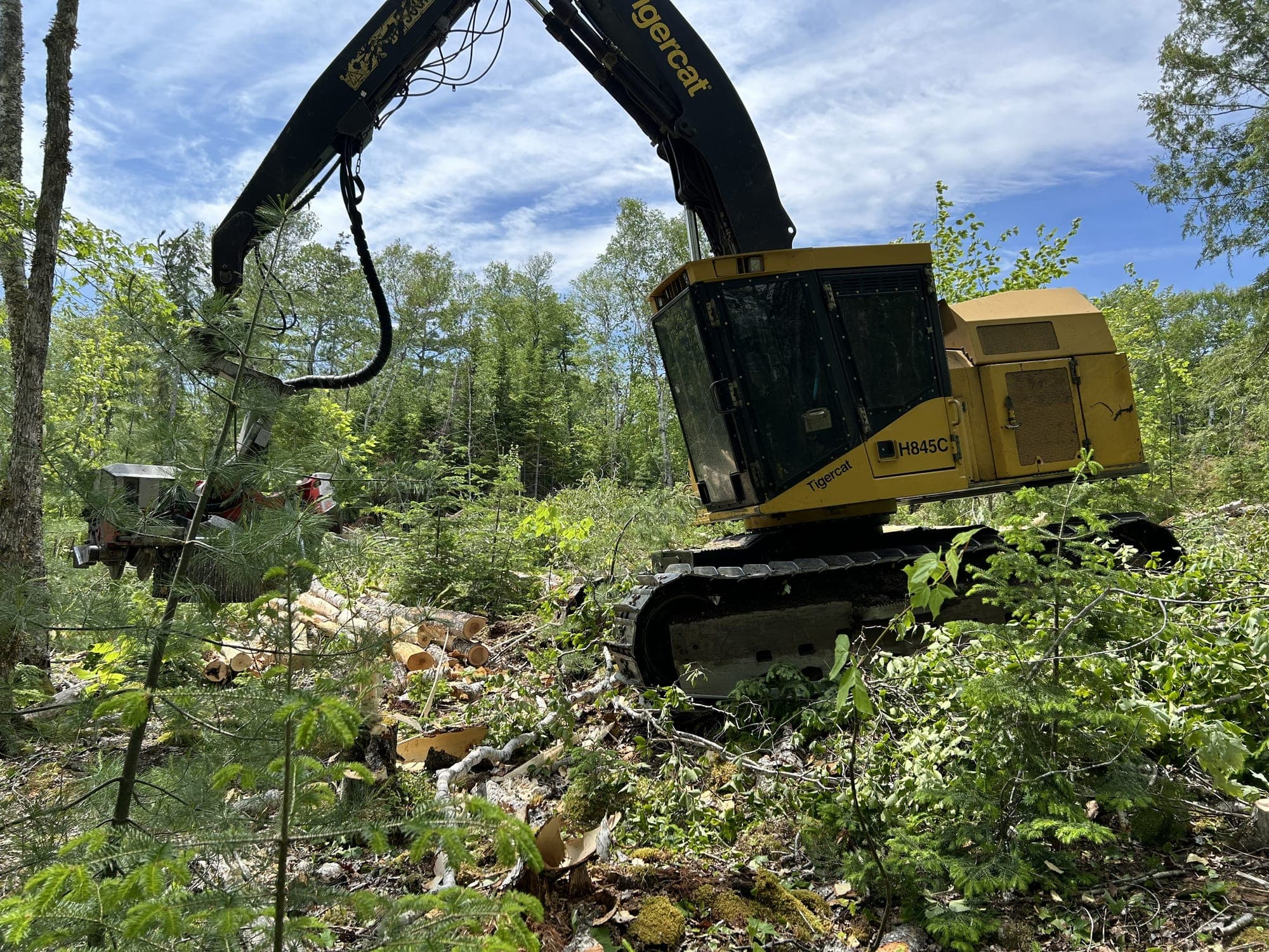 Land & Timber Purchasing