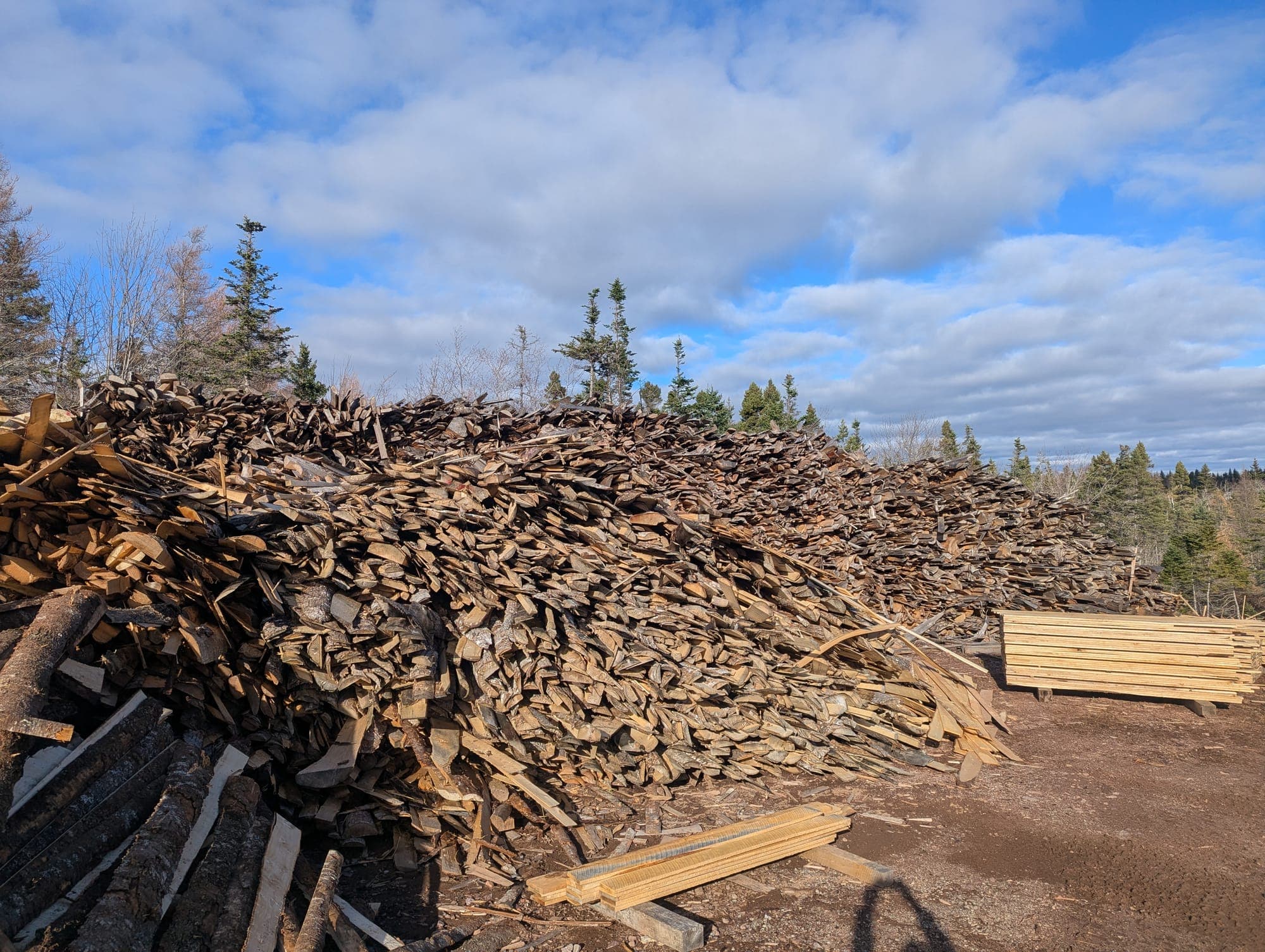 Sawmill residuals being converted to biomass — nothing goes to waste